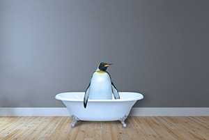 penguin in tub